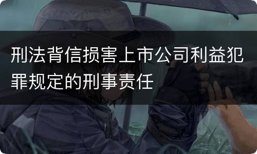 刑法背信损害上市公司利益犯罪规定的刑事责任