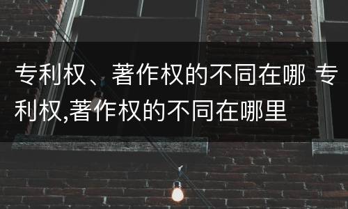 专利权、著作权的不同在哪 专利权,著作权的不同在哪里