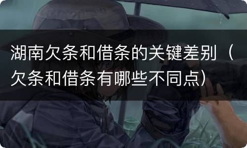 湖南欠条和借条的关键差别（欠条和借条有哪些不同点）