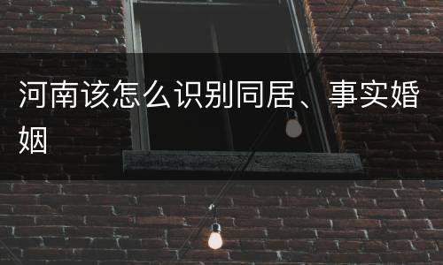 河南该怎么识别同居、事实婚姻