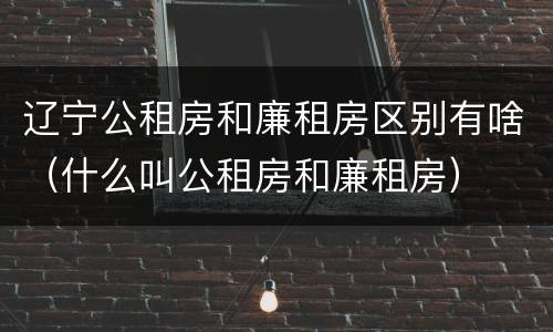 辽宁公租房和廉租房区别有啥（什么叫公租房和廉租房）
