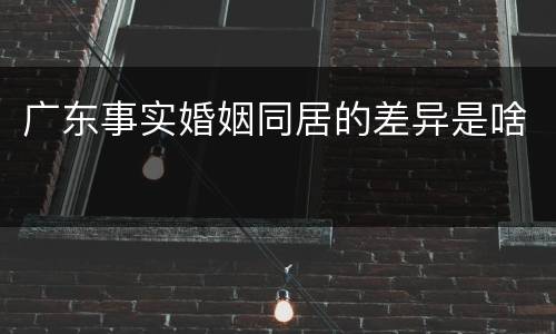 广东事实婚姻同居的差异是啥