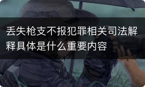 丢失枪支不报犯罪相关司法解释具体是什么重要内容