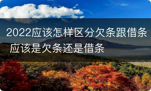2022应该怎样区分欠条跟借条 应该是欠条还是借条