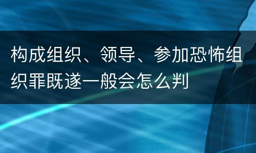 构成组织、领导、参加恐怖组织罪既遂一般会怎么判