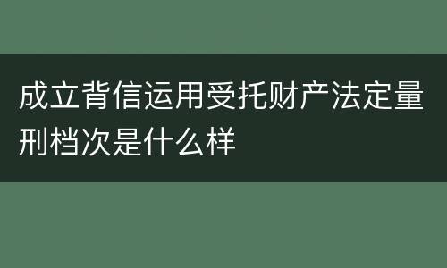 成立背信运用受托财产法定量刑档次是什么样