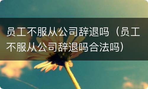 员工不服从公司辞退吗（员工不服从公司辞退吗合法吗）