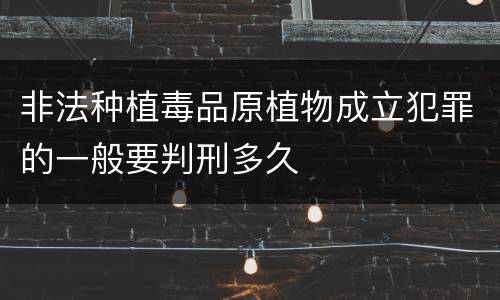 非法种植毒品原植物成立犯罪的一般要判刑多久