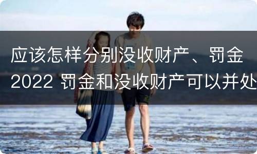 应该怎样分别没收财产、罚金2022 罚金和没收财产可以并处吗