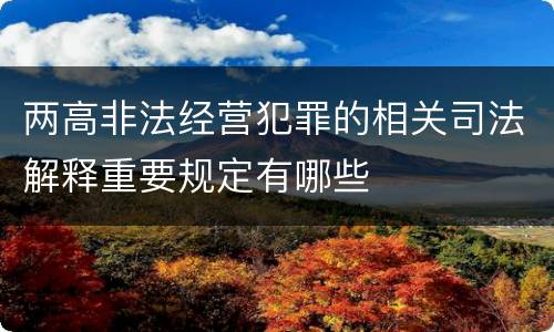 两高非法经营犯罪的相关司法解释重要规定有哪些