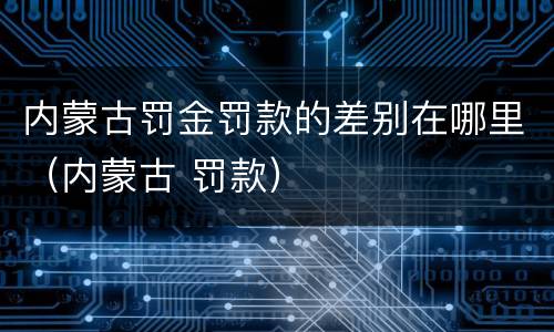 内蒙古罚金罚款的差别在哪里（内蒙古 罚款）