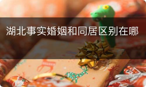 湖北事实婚姻和同居区别在哪