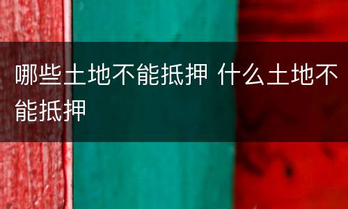 哪些土地不能抵押 什么土地不能抵押