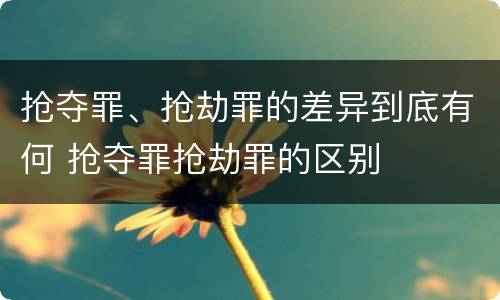 抢夺罪、抢劫罪的差异到底有何 抢夺罪抢劫罪的区别