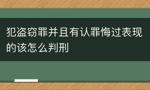 犯盗窃罪并且有认罪悔过表现的该怎么判刑