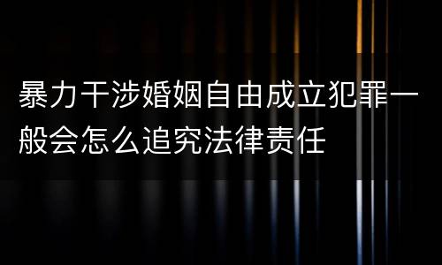 暴力干涉婚姻自由成立犯罪一般会怎么追究法律责任
