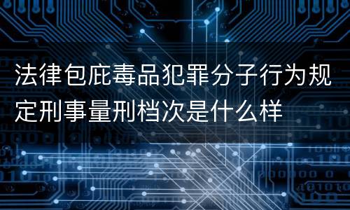 法律包庇毒品犯罪分子行为规定刑事量刑档次是什么样