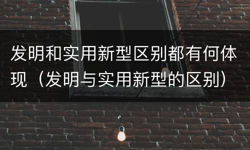 发明和实用新型区别都有何体现（发明与实用新型的区别）