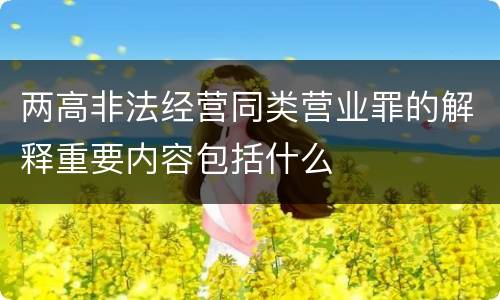 两高非法经营同类营业罪的解释重要内容包括什么