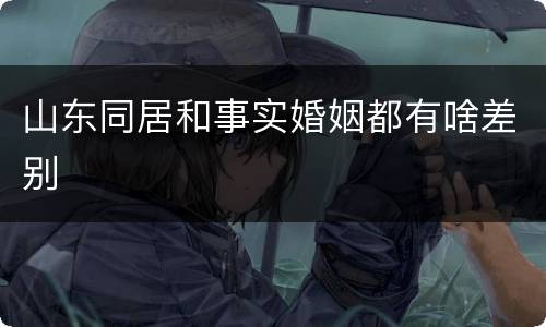 山东同居和事实婚姻都有啥差别