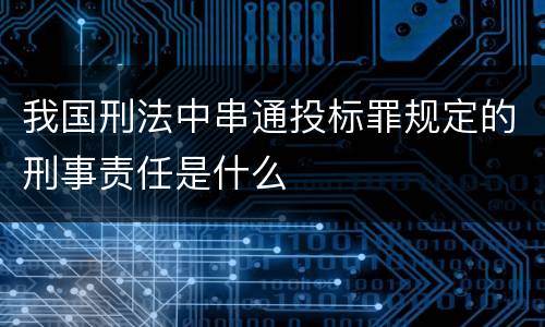 我国刑法中串通投标罪规定的刑事责任是什么