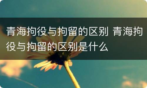 青海拘役与拘留的区别 青海拘役与拘留的区别是什么