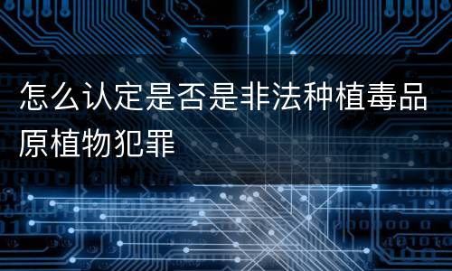 怎么认定是否是非法种植毒品原植物犯罪