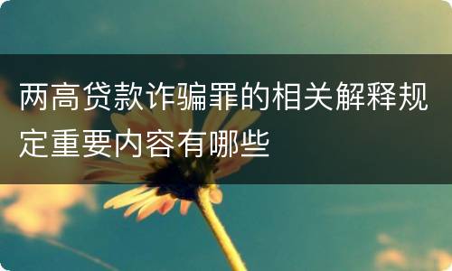 两高贷款诈骗罪的相关解释规定重要内容有哪些