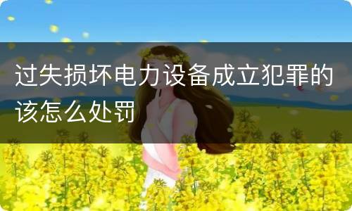 过失损坏电力设备成立犯罪的该怎么处罚