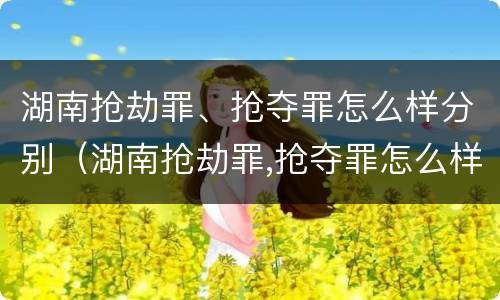 湖南抢劫罪、抢夺罪怎么样分别（湖南抢劫罪,抢夺罪怎么样分别认定）