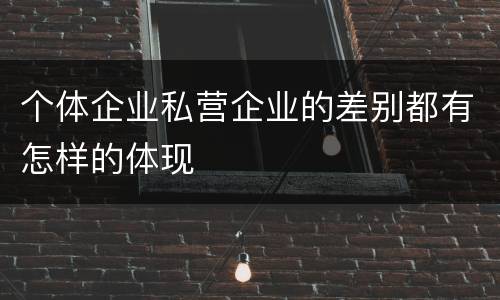 个体企业私营企业的差别都有怎样的体现