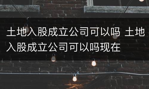 土地入股成立公司可以吗 土地入股成立公司可以吗现在