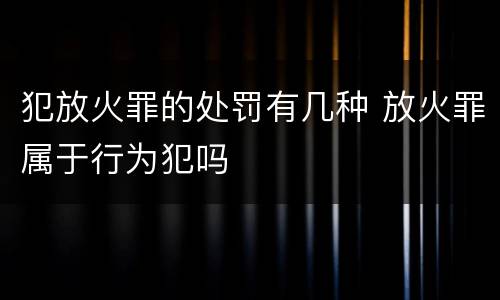 犯放火罪的处罚有几种 放火罪属于行为犯吗