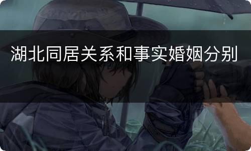 湖北同居关系和事实婚姻分别