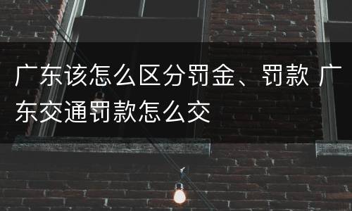 广东该怎么区分罚金、罚款 广东交通罚款怎么交