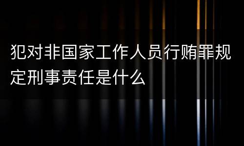 犯对非国家工作人员行贿罪规定刑事责任是什么
