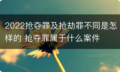 2022抢夺罪及抢劫罪不同是怎样的 抢夺罪属于什么案件