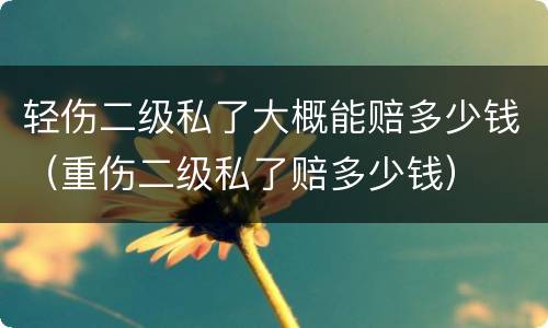 轻伤二级私了大概能赔多少钱（重伤二级私了赔多少钱）