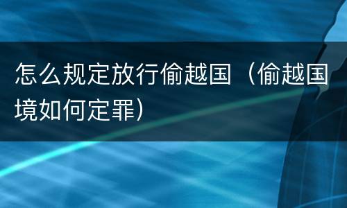 怎么规定放行偷越国（偷越国境如何定罪）