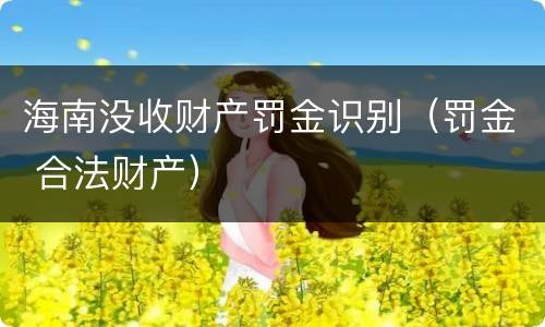 海南没收财产罚金识别（罚金 合法财产）