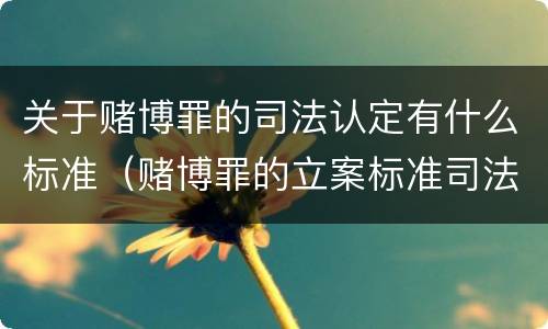 关于赌博罪的司法认定有什么标准（赌博罪的立案标准司法解释）
