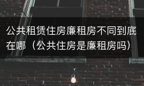 公共租赁住房廉租房不同到底在哪（公共住房是廉租房吗）