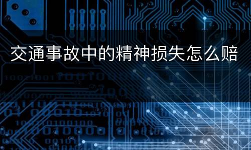 交通事故中的精神损失怎么赔