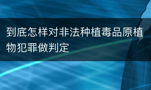 到底怎样对非法种植毒品原植物犯罪做判定