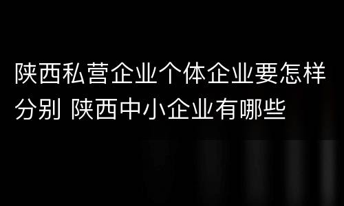 陕西私营企业个体企业要怎样分别 陕西中小企业有哪些