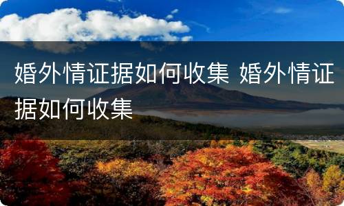 婚外情证据如何收集 婚外情证据如何收集