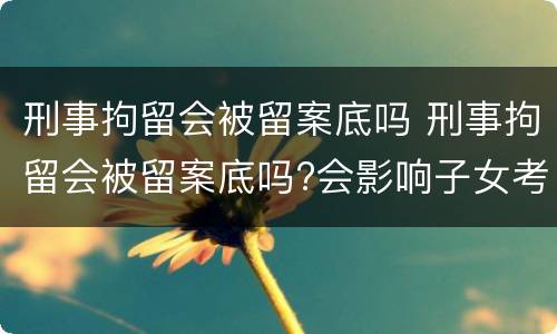 刑事拘留会被留案底吗 刑事拘留会被留案底吗?会影响子女考公务员吗?