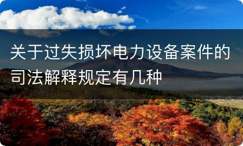 关于过失损坏电力设备案件的司法解释规定有几种
