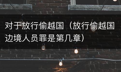 对于放行偷越国（放行偷越国边境人员罪是第几章）
