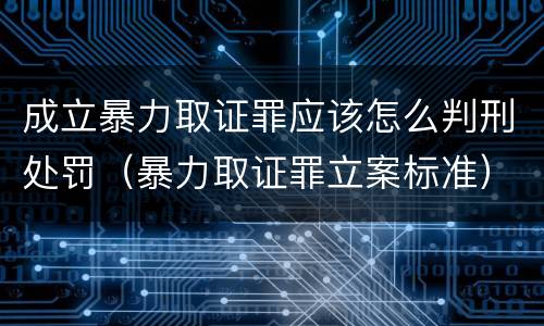 成立暴力取证罪应该怎么判刑处罚（暴力取证罪立案标准）